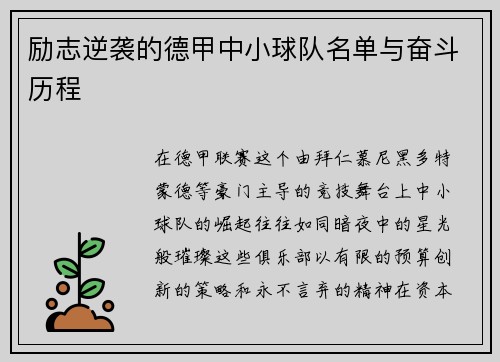 励志逆袭的德甲中小球队名单与奋斗历程