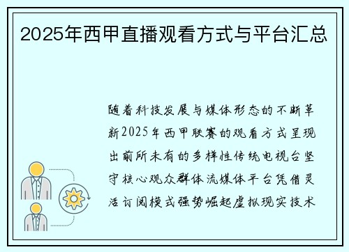 2025年西甲直播观看方式与平台汇总